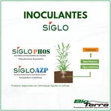 INOCULANTE LIQUIDO SIGLO AZP - CX 15 DOSES - 0